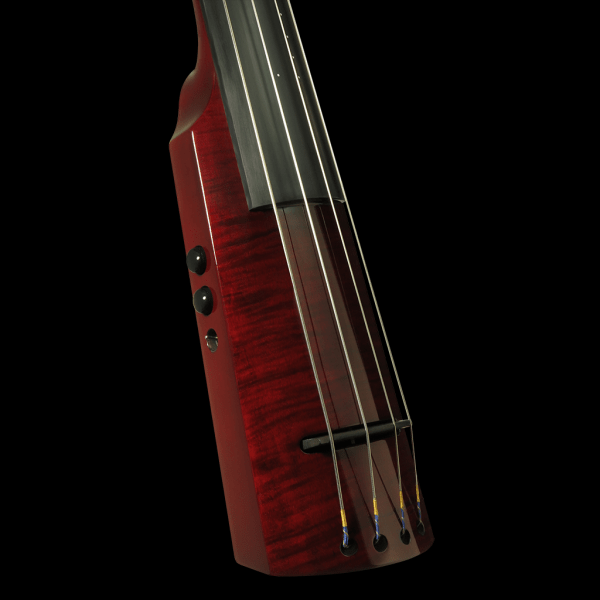 Ns design electric upright bass deals