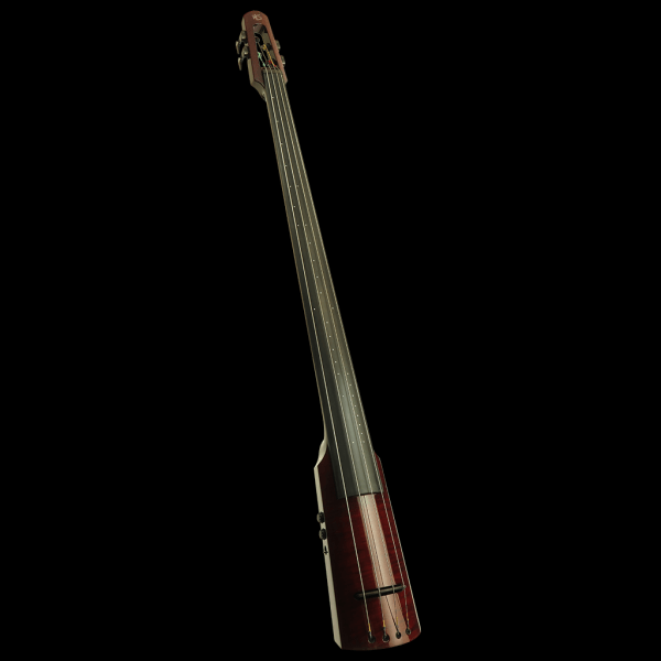NS Design WAV Electric Upright Bass Guitars on Main