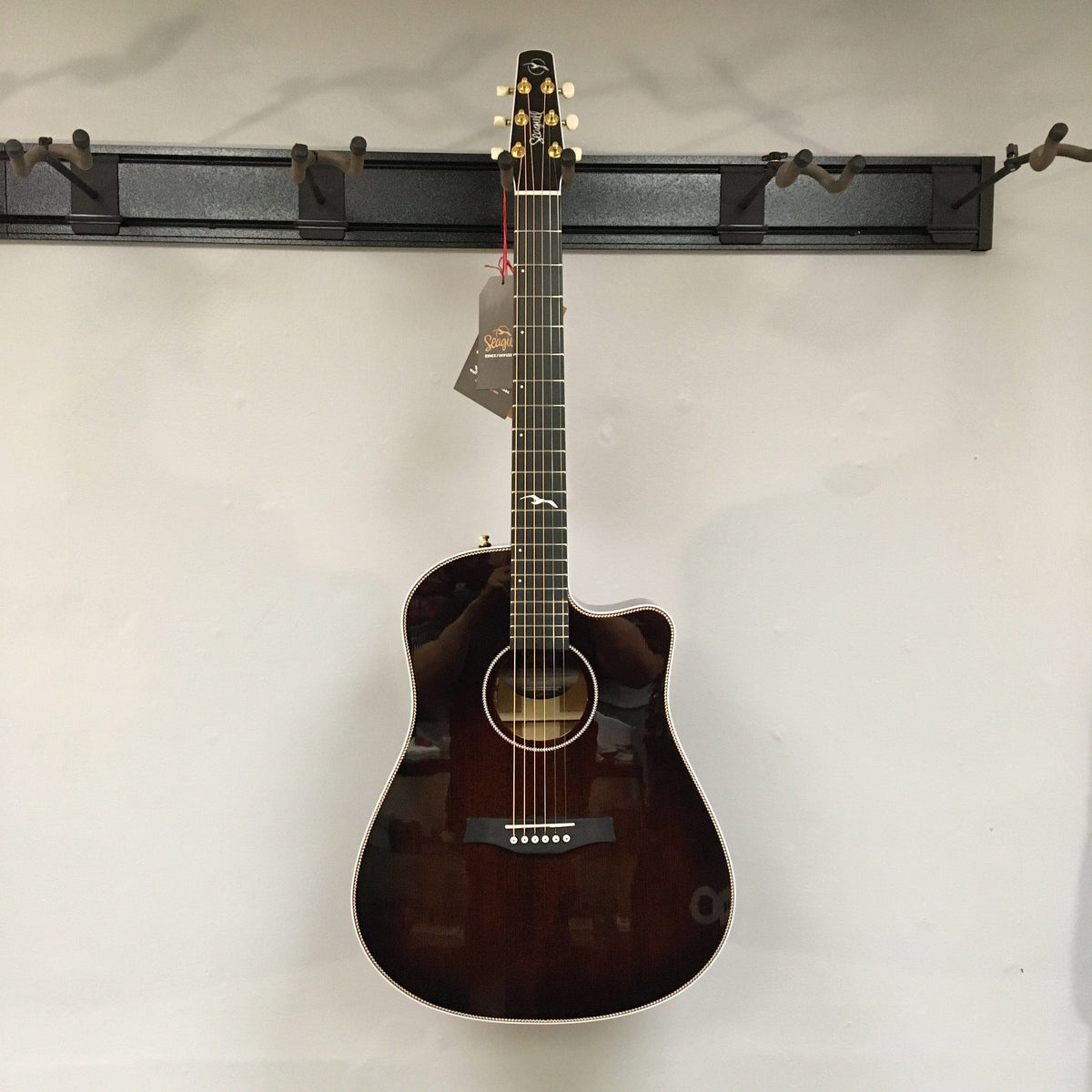 Seagull Artist Peppino Signature acoustic guitar with solid spruce top, displayed on a wall.