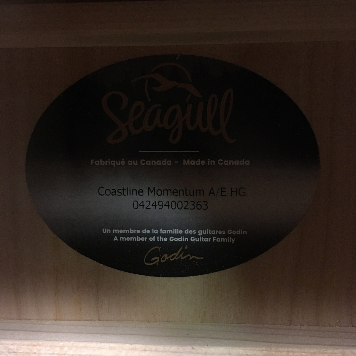 Seagull Coastline Momentum HG A/E Guitars on Main