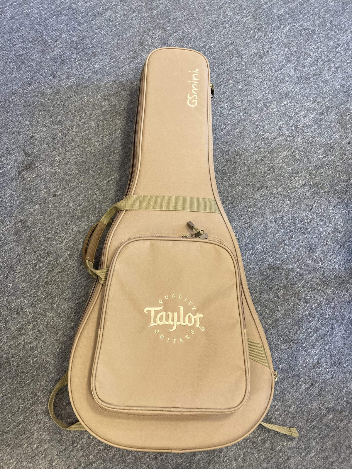 Taylor GS Mini-e Rosewood Acoustic Guitar Guitars on Main